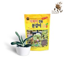 명품 다육이 전용 분갈이 흙 3L 6L 이 제품 하나로 끝, 다육이흙 6L