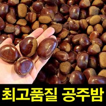 햇공주밤 1KG 칼집X 밤보관법 공주밤 밤삶기 옥광밤