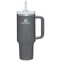 Stanley Quencher H2.0 FlowState 스테인리스 스틸 진공 단열 텀블러 뚜껑 및 빨대 포함 물 아이스 티 또는 커피 스무디 등용 안개 1.2L(40온, 30 oz, Citron