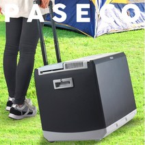 파세코 220v 12v 전용 쿨러 냉장고 대형 냉온장고 차량용 휴대용 캐리어 캠핑용 캠핑