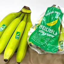 더노랑 라티다 바나나 2.6kg 내외 2송이, 콜롬비아 라티다2송이 2.6kg 내외