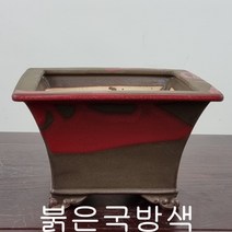 27. 손바닥정원 사각현애(대) 분재화분 승전분, 녹철류