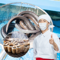 먹사부 자연산 국내산 통영 장어 바다장어 구이용 탕 덮밥 용 손질 뼈 중 대 특대 1kg 2kg 3키로 가정용 선물세트, B.바다장어[대] 1kg