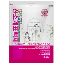 자연을담다 과탄산소다(산소계표백제) 5kg, 1개