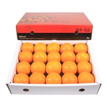 제주 신비향 수라향 설국향 선물세트 3kg 5kg 10kg, 1박스, 신비향(수라향) 대과 3kg(13~24과 내외)