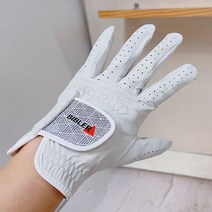 (ABM도매콜) 바이블러 올양피 남성용 골프장갑 25호(10x22.5)