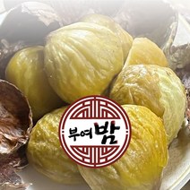 국내산 부여밤 (1KG~5KG), 칼집 포르단 부여밤(특대), 2KG
