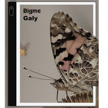 전자책 리더기 EBOOK리더기 스마트 오피스 인치 잉크 전자종이 음성 다국어 번역, 없음, 6.253