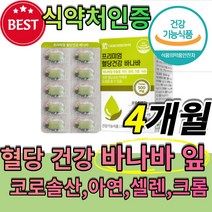 혈당 조절 바나나 바나바 바다바 바나다 잎 입 임 추출물 식약처 인증 식약청 인정 식후 상승 억제 삭사후 코로 크로 솔산 콜산 건강 기능 식품 40대 50대 60대 홈쇼핑 TV 크, 4개월(60정x2box)
