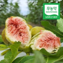절과당 [당일수확 무농약] 친환경 영암 고당도 청무화과 1팩 600g, 친환경 청무화과 1팩 600g(9-14과)