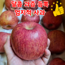 고당도 15브릭스 부사 사과 10kg 거창 경북 안동사과 선물용, 특정품부사 / 10kg / 소과 45개이상, 1개