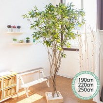 실내인테리어 인조나무 123종 / 플트 조화나무 C, C09.라인-올리브나무 250cmK/벽면형
