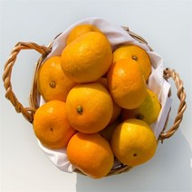 제주 감귤 노지 타이백 타이벡 비가림 밀감 L-2L 5kg, 대과(L-2L)5kg
