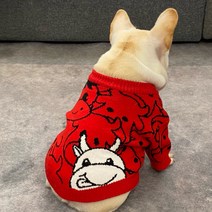 골든독 강아지 신축년 아기소 니트 스웨터 S-3XL 프렌치불독 웰시코기 슈나우저 퍼그 닥스훈트 소형견 중형견 옷