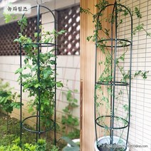 정원 원통형 덩굴 장미 식물지지대 베란다 홈가드닝, 녹색 원 지름 40cm x 높이 1.8 m