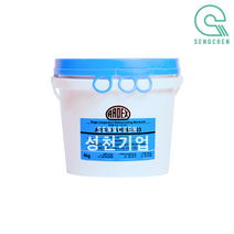 아덱스 WPM003(4kg) (1Pail), 무광, 파란색(Blue), 1개