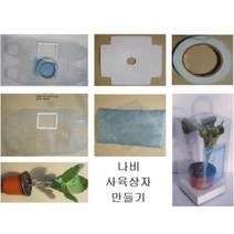 나비사육 키트