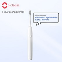 Oclean 지구력 스마트 소닉 칫솔 키트 세트 충전식 자동 전기 울트라 소닉 치과 화이트너, 01 grey