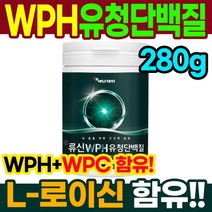 류신 WPH 가수분해 단백질 280g 소화잘되는단백질 쉐이크 프로틴 필수아미노산 BCAA L-로이신 발린 글루타민 단백질쉐이크 단백질보충제 프로틴단백질 헬스보충제 단백질 분말 가루 프로틴파우더 근육보충제