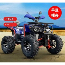 비브레 사륜바이크 사륜 바이크 구동 전기, 패키지 A