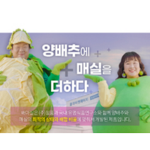 양배추+매실 함량이 높아 더진한 양배추환 배아실(300정 ) 2개