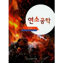 연소공학, 동화기술, 최성우 저