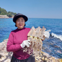 (5마리 특가판매) 남해안 배오징어 각 중량별 5마리(무료배송), 5마리(425g내외)특왕왕대
