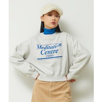 SPAO 레터 크롭 스웨트셔츠 기모 SPMWD11G03
