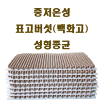 무농약표고버섯성형종균607구, 1개