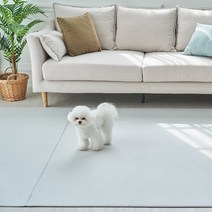 카라즈펫 항균 PVC 애견매트 논슬립 미끄럼방지 1+1, 복도형 2200x1100x6mm, 패브릭그레이