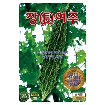 장여주씨 10립 여주 씨앗 대장 KS종묘, 1개