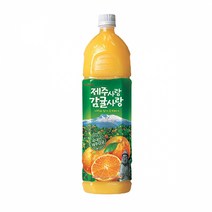 롯데 제주사랑 감귤사랑 1.5Lx6펫x2박스, 상세페이지 참조, 쿠팡 1
