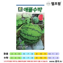 헬프팜 애플수박 5립 수박씨 씨앗 종자 다농