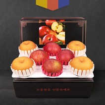 옥이네청과 명절 사과 배 대과 정품 과일선물세트 대량구매가능 빠른배송, 사과 배 혼합 선물세트 3.5kg 대과 실중량