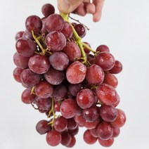 진성비엔씨(FRESH) [맛딜](무료배송)껍질째 먹는 씨없는크림슨 적포도 4kg, 단품없음