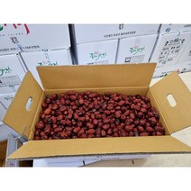 열과 건대추 대추차용건대추 1박스 ( 실중량 13.5kg ) GAP인증 안심먹거리 대추차 대추고 약재용