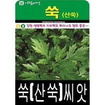 [워터트리몰] 쑥산쑥 씨앗(100000립) 채소 꽃 종자 재배 씨앗 허브 나무 (A)