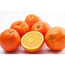 달달농산물 귤 제주 서귀포 조생귤 로얄과 고당도 타이백 감귤 선물용 초특가 세일판매중, 4.5kg 타이백, 제주감귤, 소과