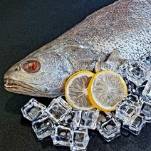 국산 통민어 한마리 1.7KG 손질 급냉 흰살생선 민어탕 보양식 생선구이 밥반찬 매운탕 찜 지리탕 생선조림, 1개