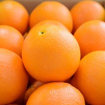 카라카라 오렌지, 미국산카라카라오렌지 20개(크기좋음)