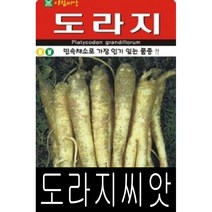 [워터트리몰] 채소 종자 재배 씨앗 도라지씨앗(2000립) (A)