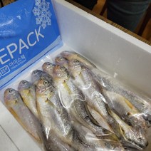 성복농수산 참조기 1kg 세트 저염한 생조기 18~20미 15~16미 국내산 생선 굴비, 프리미엄 11미