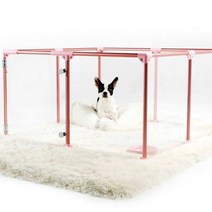 투명아크릴 강아지펜스 강아지운동장 울타리 애견펜스