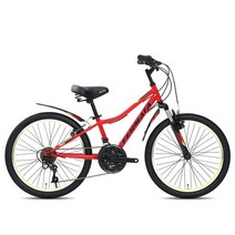 (완조립) 2022 지오닉스 뮤트 페르마타22SF 22인치 21단 주니어 MTB 자전거, 민트