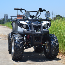 ATV 125cc 엔진 4 륜 산악오프로드 귀농 오토바이 농업 차량 대륙에서 보물 찾기, 기본