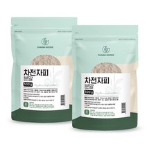 순수 100% 인도산 프리미엄 차전차피 가루 분말 먹는 법 방법 파우더 차 자전자피 차천자피 식이섬유 질경이 씨앗 껍질 차전차피 차천차피 Psyllium husk powder, 2개, 500 g