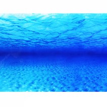 [바보사랑] (백스크린) 물속여울 백스크린 60cm, 상세 설명 참조, 상세 설명 참조