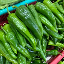 금성식품 중국식품 동북고추 중국고추 매운고추 라메즈라죠1kg, 1개