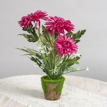 PH120255 FC 작은정원 국화꽃 조화 화분(핑크) 조화 화분 조화화분 조화장식 인테리어조화 인조화분 꽃장식 조화꽃 인조꽃 인테리어화분 인테리어소품 장식화분 원예 집들이 개업선물 실내조경 묘목 조경나무 정원수 유실수 사철나무 소나무 단풍나무 나무울타리