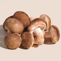 [엄지척농산물] 국내산 산지직송 무농약 생 표고버섯 1kg, 생 표고버섯 선물세트(900g), 1개